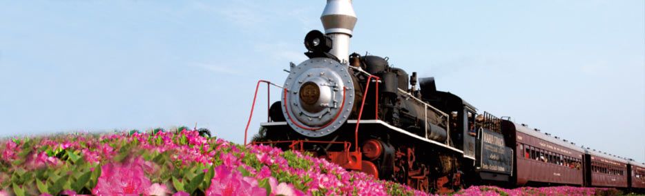 serragaucha2 serragaucha2